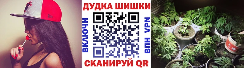 mega ONION  Советская Гавань  Канабис White Widow  купить  цена 